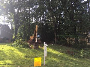 Empty lot with request to remove trees