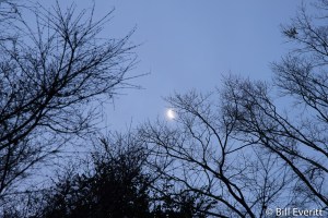 Moon Rise in Buckhead