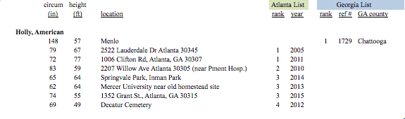 american-holly-champions