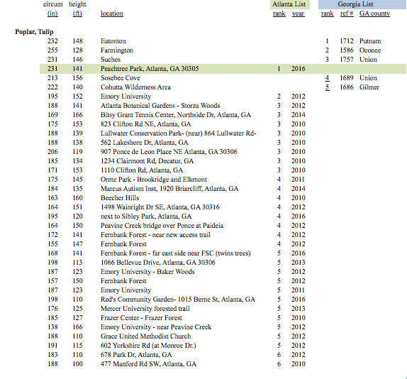 Tulip Poplar Champions
