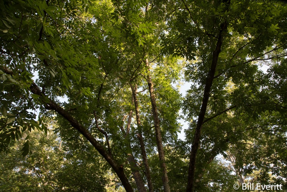 718 Darlington Rd. - John Barrett’s old house