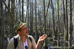 image_3-fort_stewart