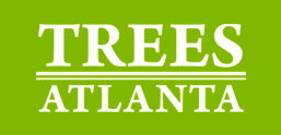 trees-atlanta